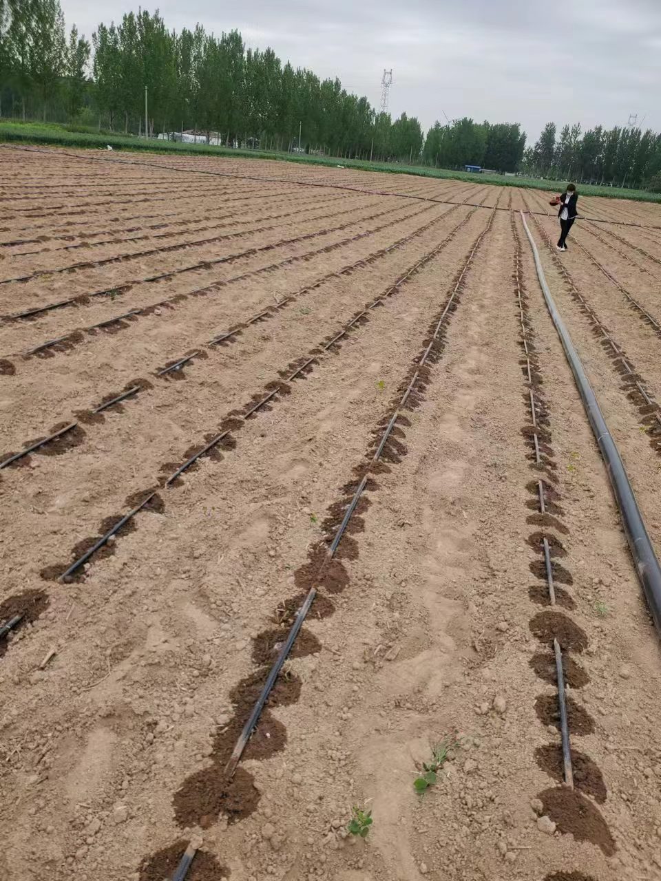 迷宮帶用處